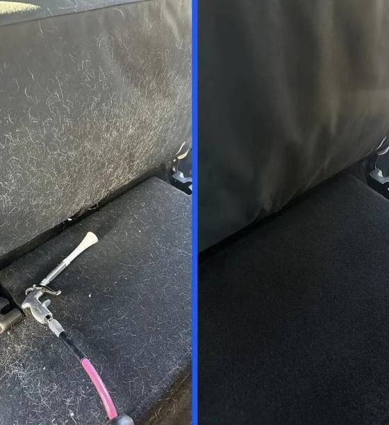 Pet hair removed from rear seat and carpet